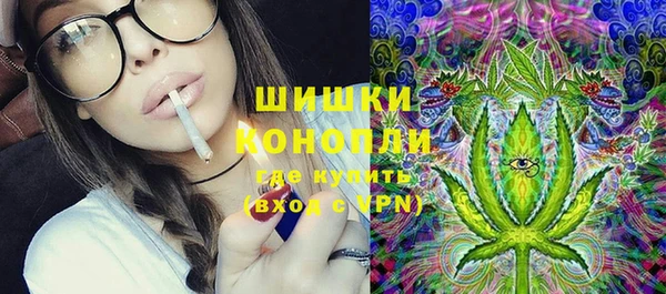 ПСИЛОЦИБИНОВЫЕ ГРИБЫ Алексеевка