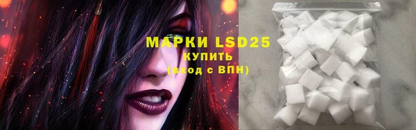 ПСИЛОЦИБИНОВЫЕ ГРИБЫ Алексеевка