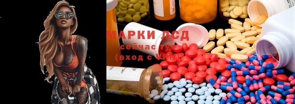 ПСИЛОЦИБИНОВЫЕ ГРИБЫ Алексеевка