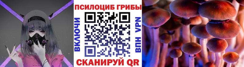 Галлюциногенные грибы Cubensis  купить   Алзамай 